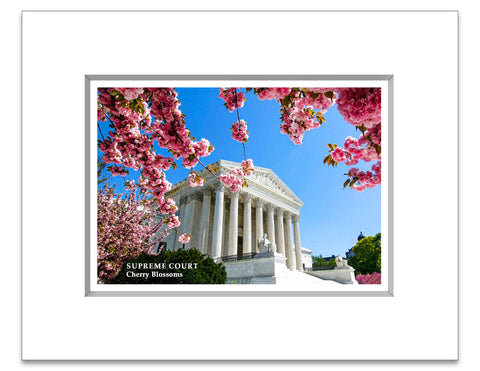 8"x 10" Supreme Court Matted Print Cherry Blossoms