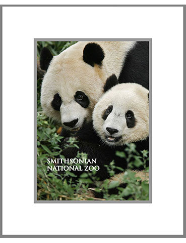 8"x 10" National Zoo Matted Print